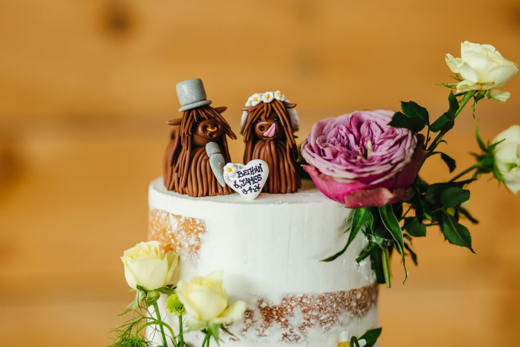 Cute Bison 'bride & groom' cake topper