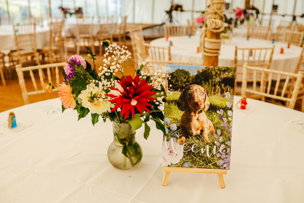 A table with a vase of flowers and a portrait of a sausage dog named Weenie as the table name